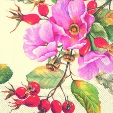 χαρτοπετσέτα decoupage 33Χ33 εκ.