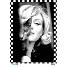 Ριζόχαρτο DIAMOND 1031