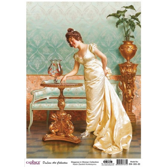 Deluxe elegance woman collection 30X42 EW003