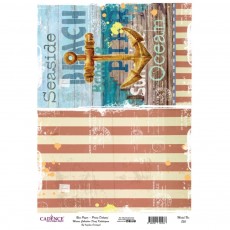 Ριζόχαρτο 40Χ32 830