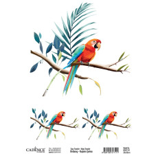 Easy transfer bird song BRET01 25X35 cm