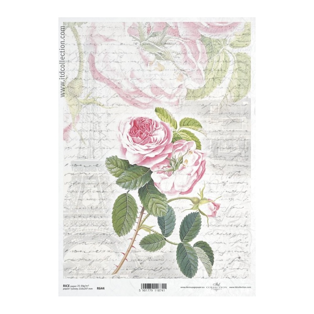 Ριζόχαρτο Itd