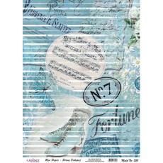 Ριζόχαρτο Cadence 320