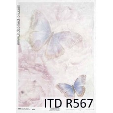 Ριζόχαρτο Itd